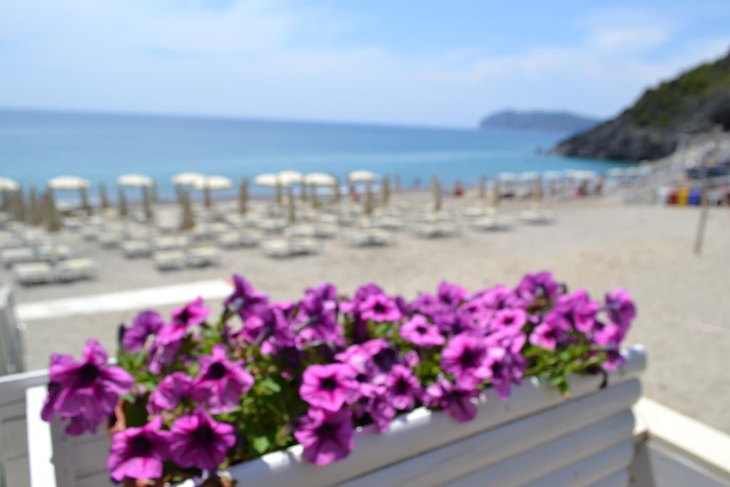 Villaggio Garden Park Marina di Camerota Exteriér fotografie