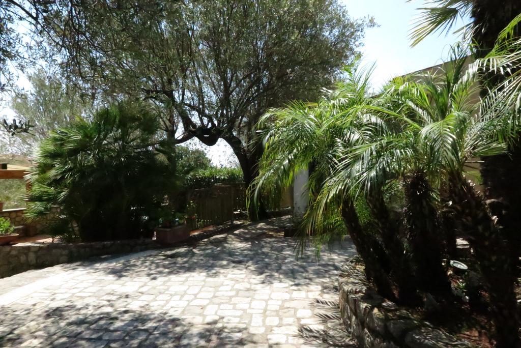 Villaggio Garden Park Marina di Camerota Exteriér fotografie
